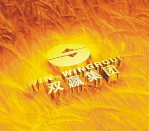 雙贏集團有限公司