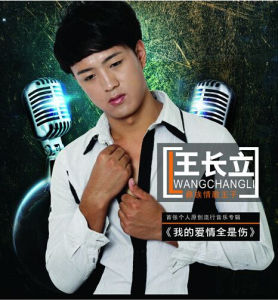 我的愛情全是傷 我的愛情全是傷