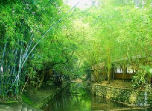 中山逍遙谷 中山逍遙谷