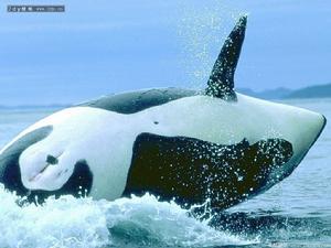 1980年9月24日 1980年9月24日