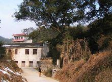 上海國立專科學校附近