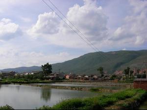 大瑞城村的魚塘