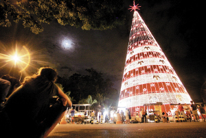 在巴西的聖保羅廣場伊比拉布埃拉公園裡，很多人圍在聖誕樹周圍。這株聖誕樹高60米、重28噸，上面配了50萬個裝飾燈泡。