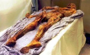 奧茲冰人 奧茲冰人