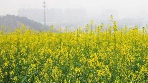 中山黃圃海蝕遺址旅遊區