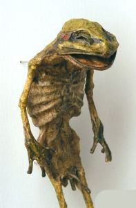 神秘生物 神秘生物