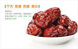 黃河灘棗 黃河灘棗