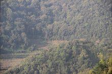 2017年2月進入黎明鄉的遠處野生象群