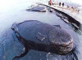 白鶴梁的沉浮 白鶴梁的沉浮