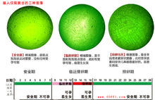 福人儀觀測排卵的三種圖像