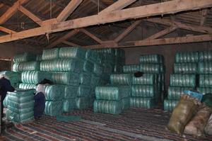 青海省三角城種羊場