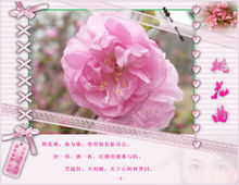 舞低楊柳樓心月，歌盡桃花扇底風