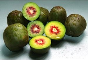 蒼溪紅陽獼猴桃 蒼溪紅陽獼猴桃