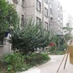 莘浜路31號小區 莘浜路31號小區