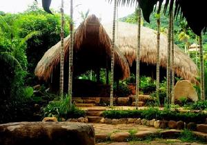 呀諾達熱帶雨林