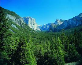 大自然[中國自然科學博物館協會等機構主辦科普期刊]