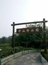 神仙樹公園