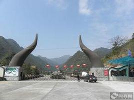 牛頭山[浙江省麗水市牛頭山]