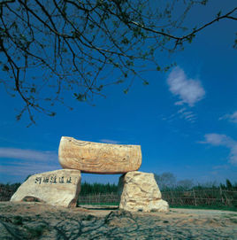 河姆渡文化遺址 河姆渡文化遺址