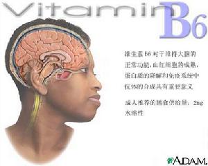 維生素B6依賴綜合徵