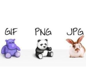 圖像格式 圖像格式