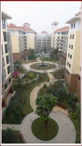 青槓老年護養中心 青槓老年護養中心