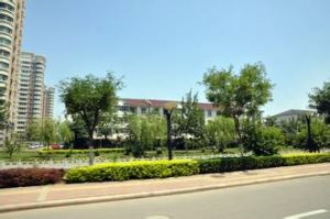 清灣綜合場 清灣綜合場