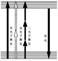 單光子與多光子激發示意圖