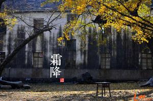 秋天[自然季節]