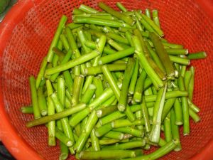 肉炒通菜梗 肉炒通菜梗