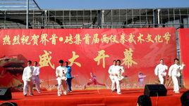 兩儀拳武術文化節