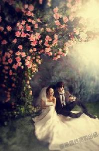 夢裡又飛花 夢裡又飛花