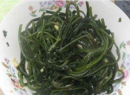 涼拌鮮海帶絲 涼拌鮮海帶絲