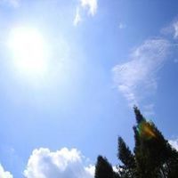 夏日可畏 夏日可畏