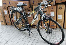 美利達野狼 美利達野狼