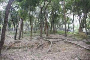 賽西湖公園 賽西湖公園