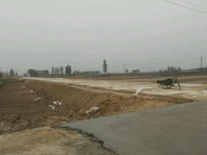 東官亭村 東官亭村