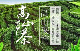 溪口高山茶 溪口高山茶