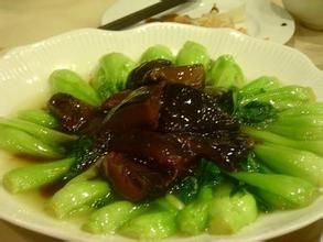 北菇扒菜心 北菇扒菜心