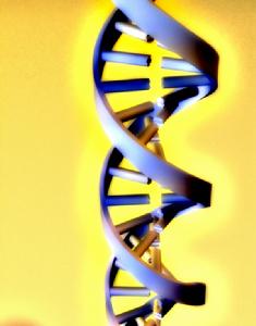 DNA雙螺鏇結構