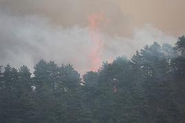 2019年中國自然災害 2019年中國自然災害