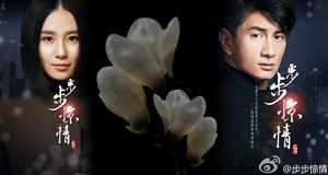 張曉[《步步驚情》的女主角]