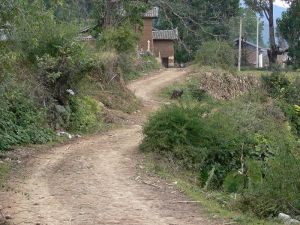 洪家營自然村 洪家營自然村