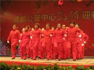 石油社區[四川成都市成華區猛追灣街道下轄社區]