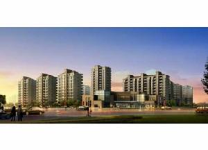 美林印象 美林印象