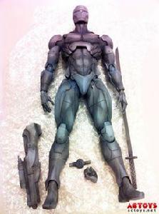 Gray Fox Gray Fox