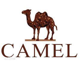 駱駝[駱駝（中國）戶外用品有限公司品牌]