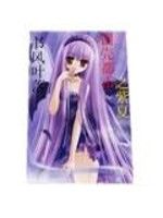 鋼殼都市之紫夏 鋼殼都市之紫夏