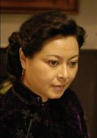 英雄無名[2007年毛衛寧拍攝電視劇]