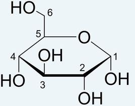 哈沃斯投影式 哈沃斯投影式